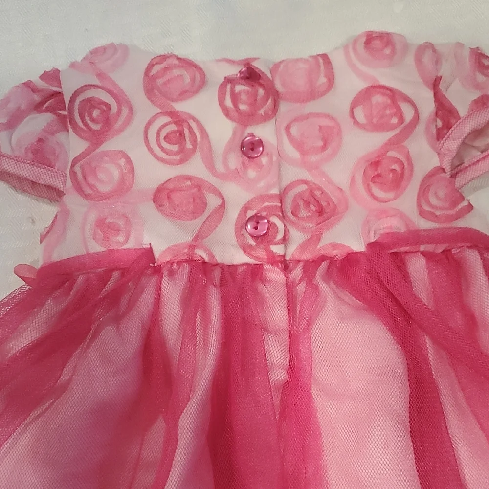 Sweet Heart Rose Pink Floral Tulle Party Dress Size 12M